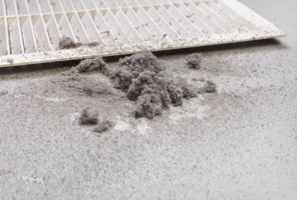 Best Affordable HVAC Duct Cleaning  in White Oak, MS