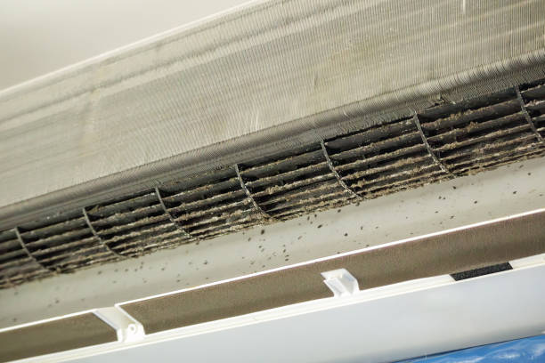 Best Commercial Air Duct Cleaning  in White Oak, MS